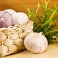 The health giving benefits of Garlic