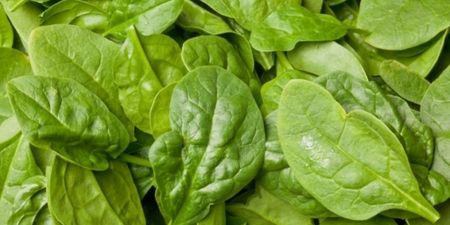 The health giving benefits of Spinach