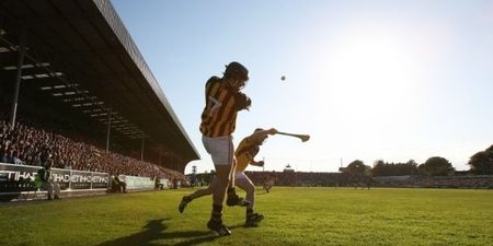 Wexford footballers beat Westmeath, but their hurlers couldn’t match sparkling Kilkenny