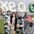 Head this way for your Oxegen timetable and site map