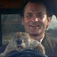 Cult Classic: Groundhog Day