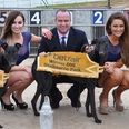 Betfair move into Irish greyhound sponsorship with 600 deal