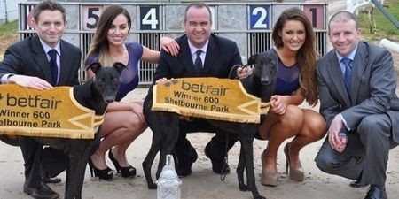 Fancy some top quality greyhound racing on Saturday? It’s free…