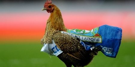 Video: Blackburn fans (and a chicken pitch invader) cry fowl after relegation