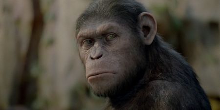 Tonight’s TV: The Hit, Live Paralympics, Rise of the Planet of the Apes