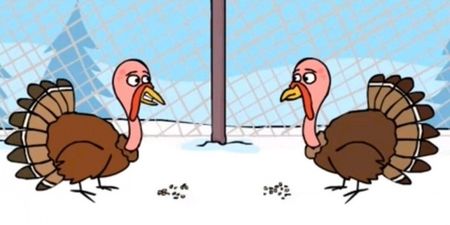 Video: Have you seen the Sminky Shorts Christmas Turkey clip yet?