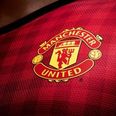 Pic: The Man Utd crest could be set for an overhaul