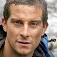 Pic: Bear Grylls’ producer on the mend after THAT horrific snake bite