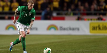 Pic: Ireland’s James McClean left devastated as someone has stolen his two dogs