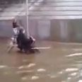Video: Hero dog pushes wheelchair-bound owner through flooded street