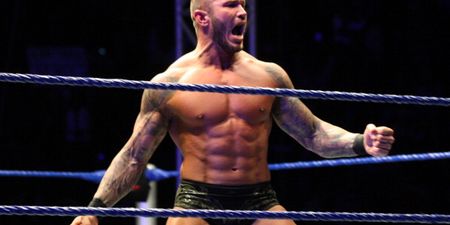 Video: WWE star Randy Orton gets punched in the nads by a random fan