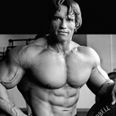 Arnold Schwarzenegger asks Redditors to stop bitching on r/fitness