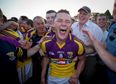 Wexford commentator loses his teeth with excitement and a third chance for Tipp?