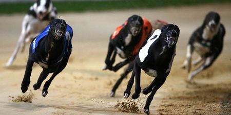 Video: Here’s how JOE’s Night at the Dogs in Galway went down
