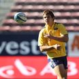 Munster confirm the signing of South African winger