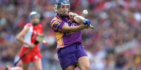The most famous camogie water carrier in Ireland and Ger Loughnane has a fierce dig at John Mullane