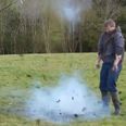 Video: The hilarious aftermath of a firework in cow pat
