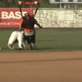 Video: Baseball player knocked out by dropkick from a skydiver