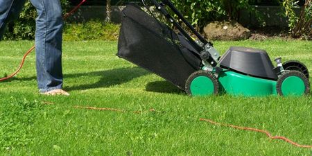 Would you pay €60 to get a ride on this unconventional lawnmower?