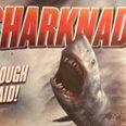 Video: Check out the trailer for the epic new movie Sharknado