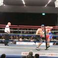 Video: Savage KO from Australian heavyweight bout