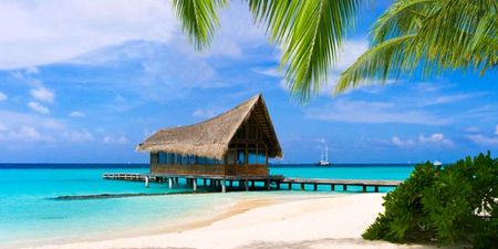 Booking a Honeymoon: Enjoy seclusion, luxury and diving in the Maldives