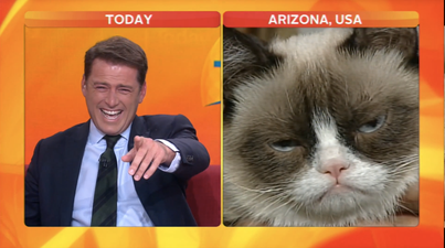Video: Aussie newsreader loses it during interview with Grumpy Cat