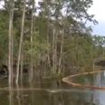 Video: Mad footage of sinkhole in the US swallowing trees in seconds