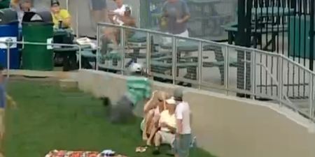 Video: Great catch from a basball fan in the crowd, apart from the bit where he slams his face into a wall