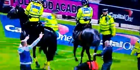 Video: Football steward trampled by police horse following pitch invasion