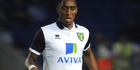 Nivea Player Profile: Norwich new boy Leroy Fer