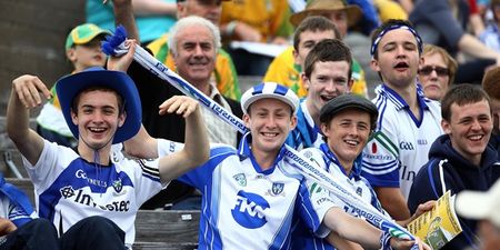 Pic: There was a cow in a Moo-naghan jersey at the Monaghan v Galway ladies match today