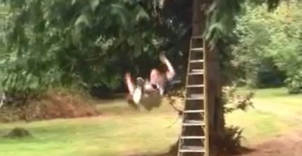 Video: Guy falls off zipline; roars out with hilarious cries of pain afterwards