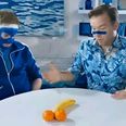 Video: Bernard and Dermot use fruit to discuss Blue September