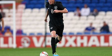 James McCarthy out of Ireland squad to play Gibraltar and Germany through injury