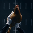 Video: Mercedes-Benz creates a brilliant ad featuring chickens… no cars, just chickens