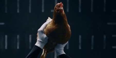 Video: Mercedes-Benz creates a brilliant ad featuring chickens… no cars, just chickens