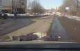 Video: Idiotic pedestrians caught on camera