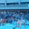 Video: 420-pound sumo wrestler gets body slammed by opponent