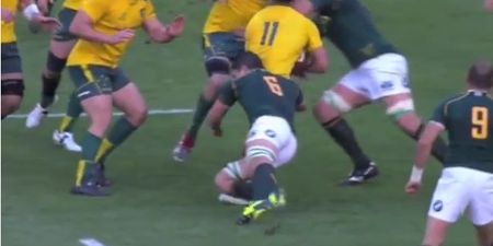 Video: Here’s the elbow to the head that earned Springbok Flip van der Merwe a ban