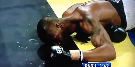 Video: One of the hardest-hitting boxing KO’s you will see
