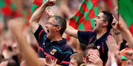 More horse play from excited Mayo supporters