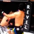 Video: One of the strangest MMA knockouts you’re ever likely to see