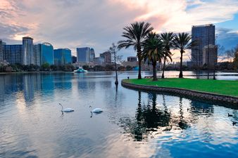 Need a break? How about an exciting adventure in Palm Beach & Orlando, Florida