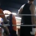 Video: Boxer acts the ass in the ring, referee jumps in from crowd and suplexes him