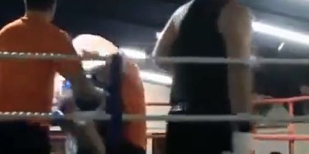 Video: Boxer acts the ass in the ring, referee jumps in from crowd and suplexes him