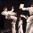 Video: The highlights package from the Red Bull Taekwondo Kick tournament is pretty spectacular