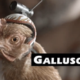 Video: LG’s G2 chicken advert isn’t as foul as it sounds