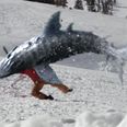 Video: The terrible trailer for Avalanche Sharks is here – the snow will run red with blood