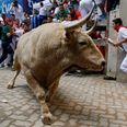 Unbelieva-bull! Rogue bull on the loose causes havoc in Mayo town